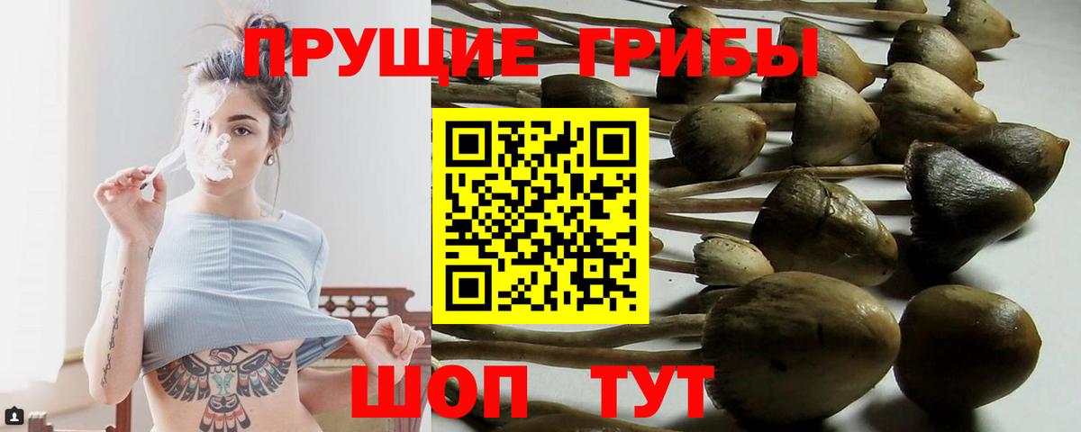 Галлюциногенные грибы мицелий  Вход с VPN  Белгород 